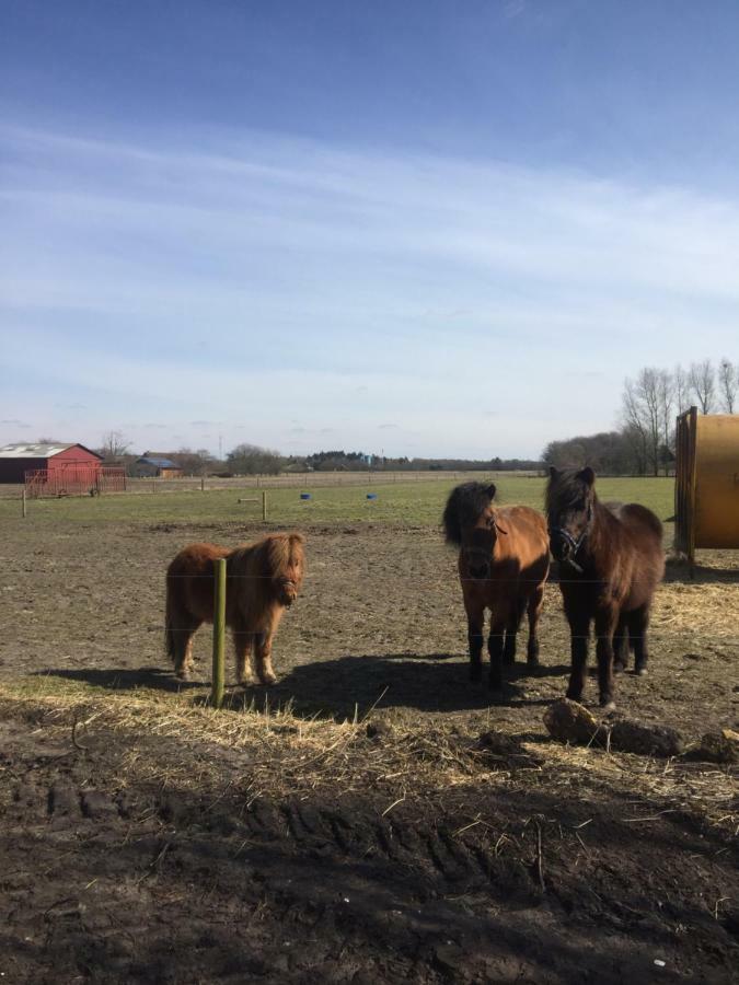 A Big Holidayhouse Romo-Rim-Ribe Skærbæk エクステリア 写真
