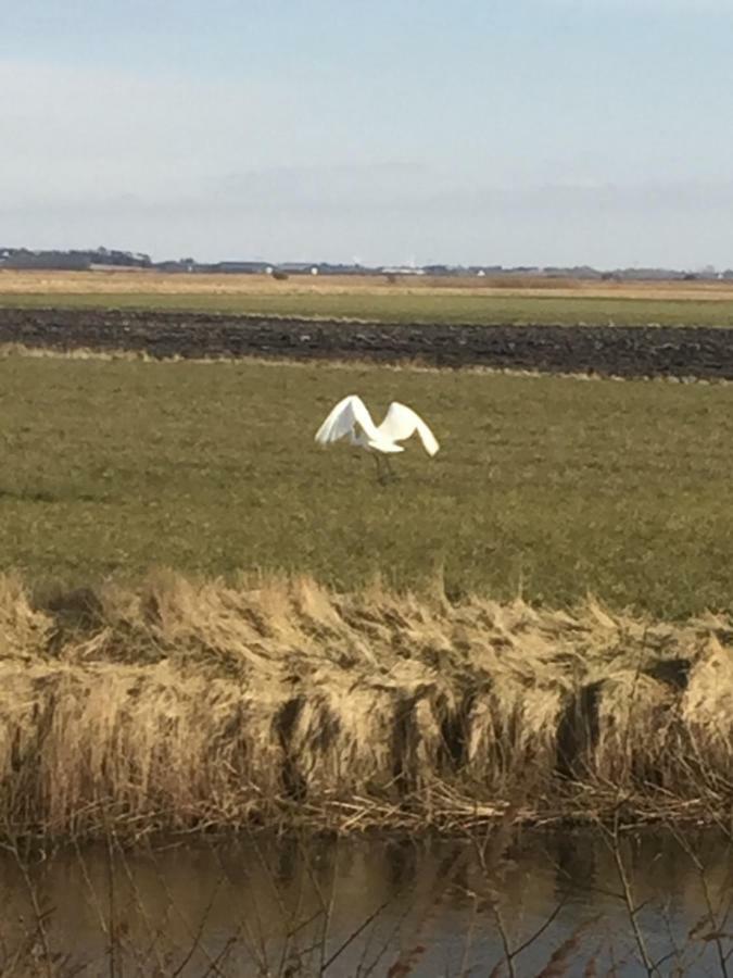 A Big Holidayhouse Romo-Rim-Ribe Skærbæk エクステリア 写真