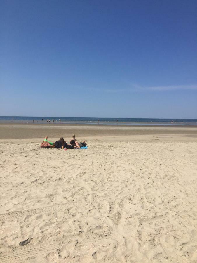 A Big Holidayhouse Romo-Rim-Ribe Skærbæk エクステリア 写真